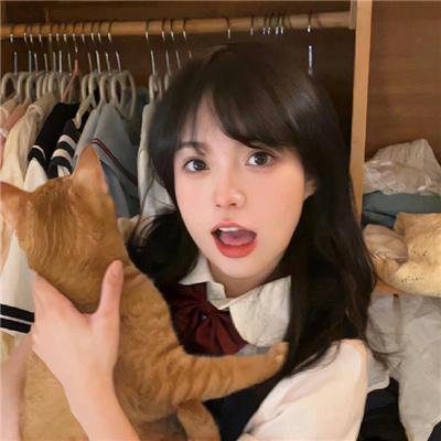 凤凰城故事
